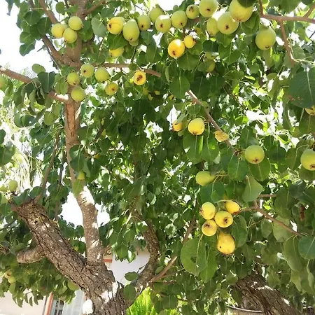 Сasa de vacaciones La Cuntintizza San Michele di Ganzaria