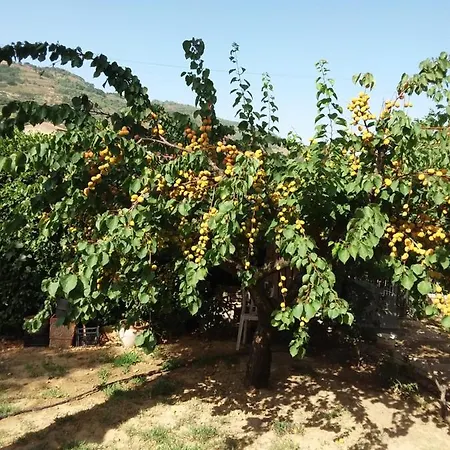 La Cuntintizza