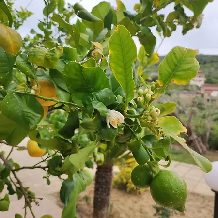 Сasa de vacaciones La Cuntintizza San Michele di Ganzaria