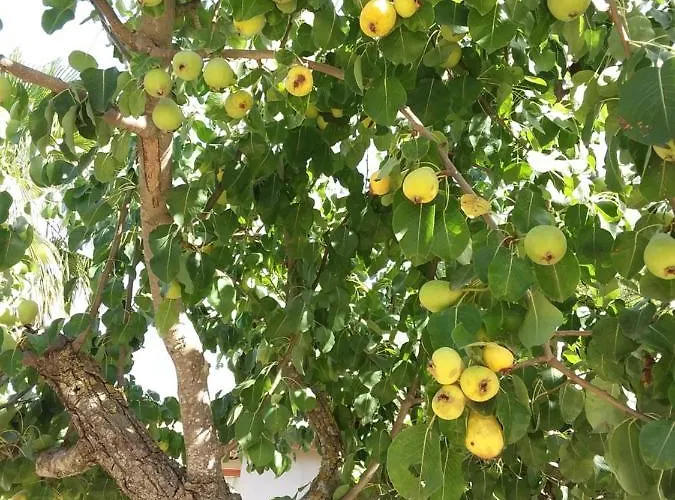 Σπίτι διακοπών La Cuntintizza San Michele di Ganzaria