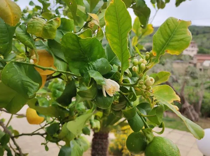 Σπίτι διακοπών La Cuntintizza San Michele di Ganzaria