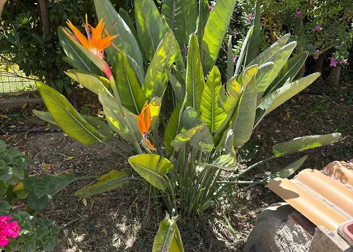 La Cuntintizza Σπίτι διακοπών